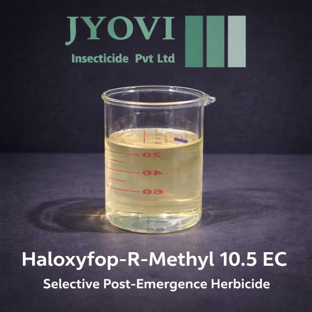 ChatGPT Image Mar 7, 2026, 05_24_04 PM