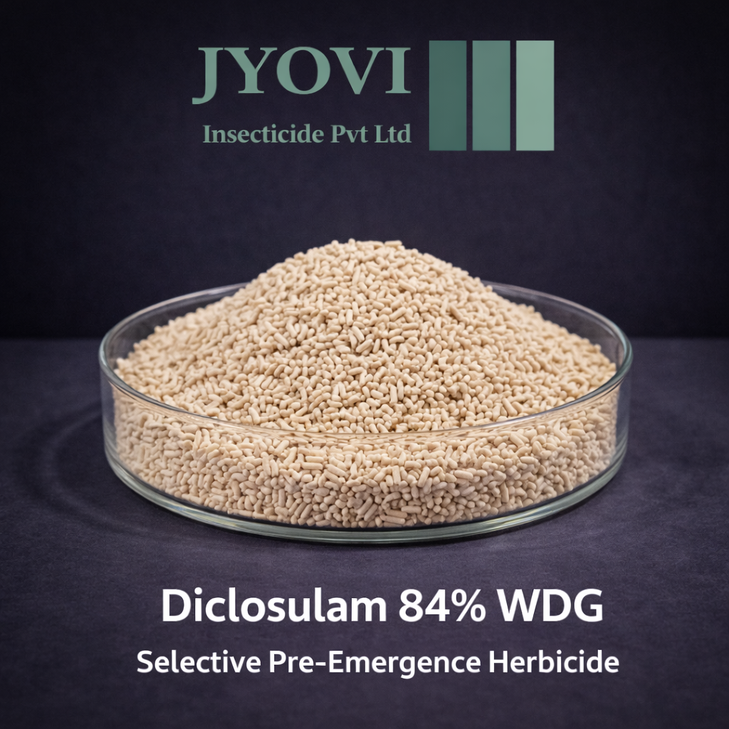 ChatGPT Image Mar 7, 2026, 05_32_42 PM