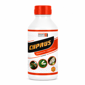 CYPRUS