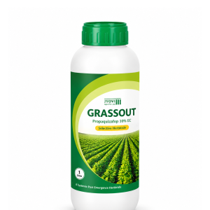 GRASSSOUT