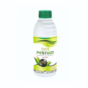 PESTIGO