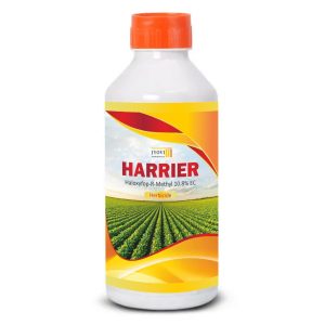 HARRIER