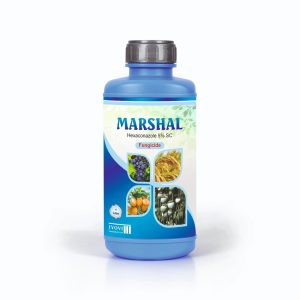 MARSHAL