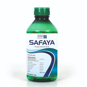SAFAYA