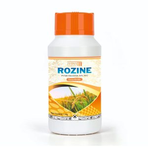 ROZIN