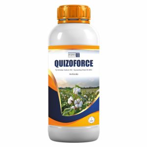 QUIZAFORCE