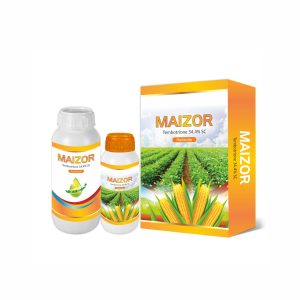 MAIZOR