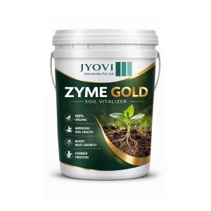 ZYME GOLD