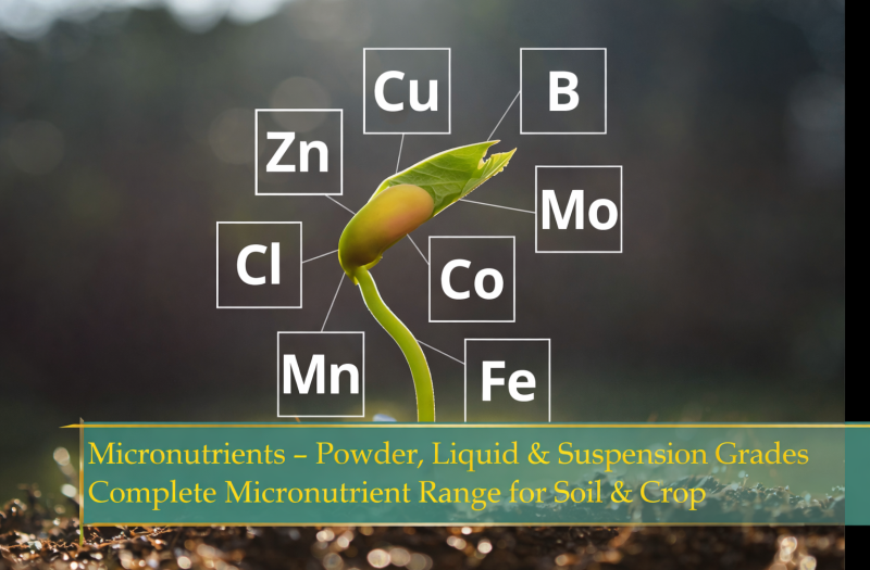 ChatGPT Image Mar 5, 2026, 12_30_18 PM