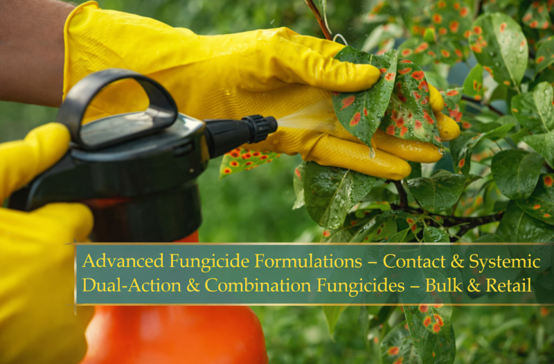 ChatGPT Image Mar 5, 2026, 12_36_08 PM