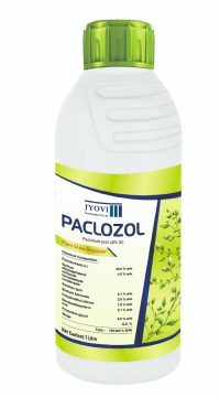 WhatsApp Image 2025-06-24 at 21.07.34