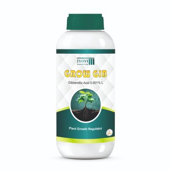 WhatsApp Image 2025-06-24 at 21.07.35